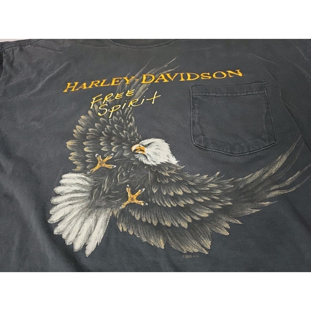 Vintage 2000 Harley Davidson Sauk Prairie WI HOG Hospital T-Shirt XL Free Spirit